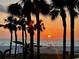 Beautiful ocean sunset on the beach with multiple palm trees lining the shore in a tropical getaway at 880 Mandalay Ave # N607, Clearwater Beach, FL 33767