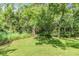 Expansive backyard with healthy green lawn and mature trees providing shade and privacy at 19312 Sunset Bay Dr, Land O Lakes, FL 34638
