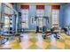 Gym with free weights and machines at 19312 Sunset Bay Dr, Land O Lakes, FL 34638