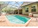 Beautiful screened-in pool features a brick surround, palm trees and a covered outdoor living area at 19312 Sunset Bay Dr, Land O Lakes, FL 34638
