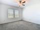 Brightly lit bedroom with neutral carpeting, two windows and modern ceiling fan at 31771 Blue Passing Loop, Wesley Chapel, FL 33545