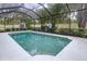 Bright pool with a screened enclosure surrounded by lush greenery, offering privacy and comfort at 3544 Brook Crossing Dr, Brandon, FL 33511