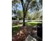 Lush green backyard featuring mature trees, privacy fence, and tropical foliage at 6333 Maisie Rd, Zephyrhills, FL 33542