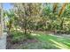 This backyard features abundant greenery, tropical landscaping, and lawn area at 6736 Breezy Palm Dr, Riverview, FL 33578