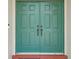 Close-up of the double doors, featuring dark hardware and a vibrant green finish at 8124 Brinegar Cir, Tampa, FL 33647