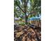 Lush backyard with mature tree, picnic table, and seating, offering a serene outdoor retreat at 9952 111Th St, Seminole, FL 33772