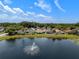 Overhead view of a lush neighborhood with a home that overlooks a beautiful lake at 10205 Charleston Corner Rd, Tampa, FL 33635