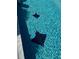 Swimming pool featuring shimmering waters and decorative stingray accents, adding a touch of whimsy at 12300 4Th E St, Treasure Island, FL 33706