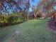 Large, well-manicured backyard featuring mature trees and a lush green lawn at 13133 Roseanna Dr, Spring Hill, FL 34609