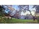 Large backyard with mature trees, lush lawn, and a view of the house and pool at 13133 Roseanna Dr, Spring Hill, FL 34609