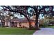 Well-maintained single-story home with a lush front lawn and mature trees offering shade at 13133 Roseanna Dr, Spring Hill, FL 34609