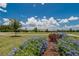Landscaping with blue flowers at 1398 Crescent Hoop Way, Wesley Chapel, FL 33543