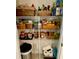 Walk in Pantry with shelves filled with items, including baskets at 1398 Crescent Hoop Way, Wesley Chapel, FL 33543