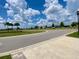 Open street view showcasing the peaceful neighborhood setting and manicured green spaces at 1398 Crescent Hoop Way, Wesley Chapel, FL 33543