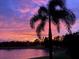 Stunning sunset with a silhouetted palm tree against a vibrant pink and purple sky over a calm lake at 15860 Aurora Lake Cir, Wimauma, FL 33598