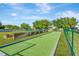 Bocce ball court with synthetic turf, framed by green fencing and wooden borders, offering a recreational space at 1806 Powder Ridge Dr, Valrico, FL 33594