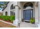 Close up of the blue front door with sidelights and decorative plants at 1806 Powder Ridge Dr, Valrico, FL 33594