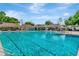 Large, inviting swimming pool with lanes, surrounded by shaded seating areas and lush greenery at 1806 Powder Ridge Dr, Valrico, FL 33594