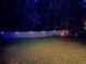 This backyard's fencing is adorned with subtle landscape lighting at 29118 Picana Ln, Wesley Chapel, FL 33543
