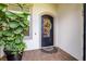 Elegant front entrance with a decorative black door, colorful wreath, and potted plant at 29118 Picana Ln, Wesley Chapel, FL 33543
