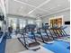 Bright gym with treadmills, large windows, and plenty of workout equipment at 29118 Picana Ln, Wesley Chapel, FL 33543