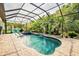 The screened-in pool features a jacuzzi, waterfall, and mature landscaping at 29118 Picana Ln, Wesley Chapel, FL 33543