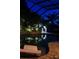 Relaxing pool scene with outdoor kitchen, lush plants, and night lighting at 29118 Picana Ln, Wesley Chapel, FL 33543