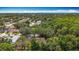 Aerial view showcasing homes surrounded by lush greenery with views of the cityscape in the distance at 2973 Spring Oak Ct, Palm Harbor, FL 34684