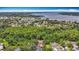 Stunning aerial view of a residential area near a large lake, surrounded by lush greenery at 2973 Spring Oak Ct, Palm Harbor, FL 34684