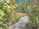 Gravel path with stepping stones winds through lush backyard foliage at 2973 Spring Oak Ct, Palm Harbor, FL 34684