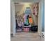 Organized closet filled with clothes, shelves, storage boxes, and a variety of items, offering ample storage at 30 Tads Trl, Oldsmar, FL 34677