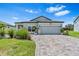Charming single-story home with a well-manicured lawn and a brick-paved driveway at 30801 Parrot Reef Ct, Wesley Chapel, FL 33545