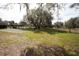 Large backyard with plenty of space, mature trees, and a fire pit at 3705 Bruton, Plant City, FL 33565