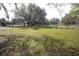 Backyard with mature trees and a fire pit at 3705 Bruton, Plant City, FL 33565