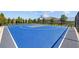 Community basketball court offers residents recreational opportunities, featuring a blue surface and surrounded by trees and fencing at 3935 Capri Coast Dr, Plant City, FL 33565