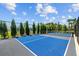 Close-up of a pickleball court with blue surface, a recreational space in a residential community with landscaping at 3935 Capri Coast Dr, Plant City, FL 33565