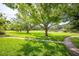 Expansive community green space with mature trees and lush lawns at 4314 La Mora Ct, Tampa, FL 33611