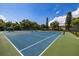 Well-maintained tennis courts with professional surfacing and ample space for community enjoyment at 4314 La Mora Ct, Tampa, FL 33611