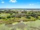Aerial view displaying waterfront dock and lily pads, showcasing community in distance, and nature's beauty at 9293 Rally Spring Loop, Wesley Chapel, FL 33545