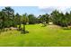 Scenic community green space featuring mature trees and well-maintained lawn at 11522 Sunburst Marble Rd, Riverview, FL 33579