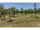 Expansive acreage lot with scattered trees and fencing for livestock or agricultural use at 18577 Clay Hill Rd, Dade City, FL 33523