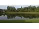 Scenic view of a tranquil pond reflecting the surrounding lush greenery and trees at 1922 Sassafras Dr, Wesley Chapel, FL 33543