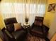 Cozy sitting area featuring comfortable armchairs, accent table, and bright window light at 21103 Patio View Ct # 3302, Lutz, FL 33558