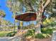 Charming gazebo in a park setting surrounded by palm trees and lush greenery at 214 Scotland St, Dunedin, FL 34698