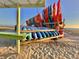 Rows of colorful kayaks available for rent on a sunny beach with clear skies at 214 Scotland St, Dunedin, FL 34698