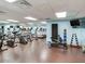 Well-equipped gym with treadmills, bikes, weights, and floor mats for a complete workout at 345 Bayshore Blvd # 1813, Tampa, FL 33606