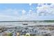 Scenic lakeside view with ducks and native plants at 4320 Auston Way, Palm Harbor, FL 34685