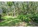 Beautiful backyard with mature trees and lush tropical foliage and manicured lawn at 4797 Stonebriar Dr, Oldsmar, FL 34677