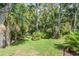 A beautiful green yard with luscious landscaping of trees and bushes at 4797 Stonebriar Dr, Oldsmar, FL 34677