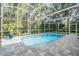 Backyard screened-in pool with beautiful trees surrounding the perimeter of the property at 4797 Stonebriar Dr, Oldsmar, FL 34677